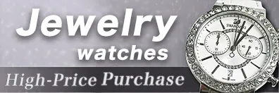 Jewelry watches