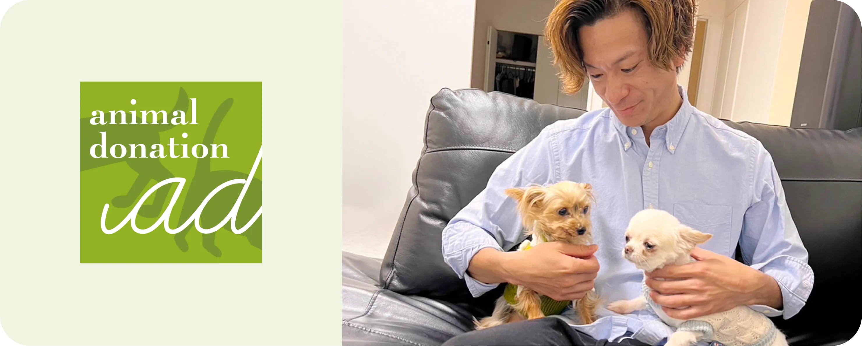 Donations to Animal Welfare Organizations
